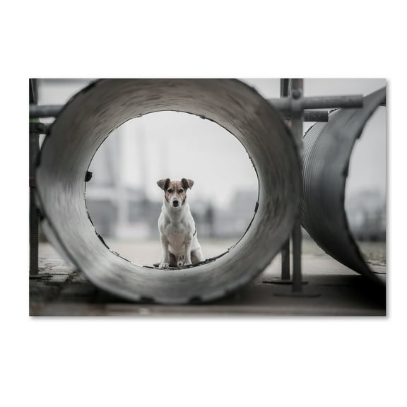 Trademark Fine Art 'My Name Is Bond' Canvas Art by Heike Willers