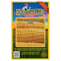 Everwilde Farms - 50 Kandy Korn F1 Hybrid Yellow Sweet Corn Seeds - Gold Vault Jumbo Bulk Seed Packet