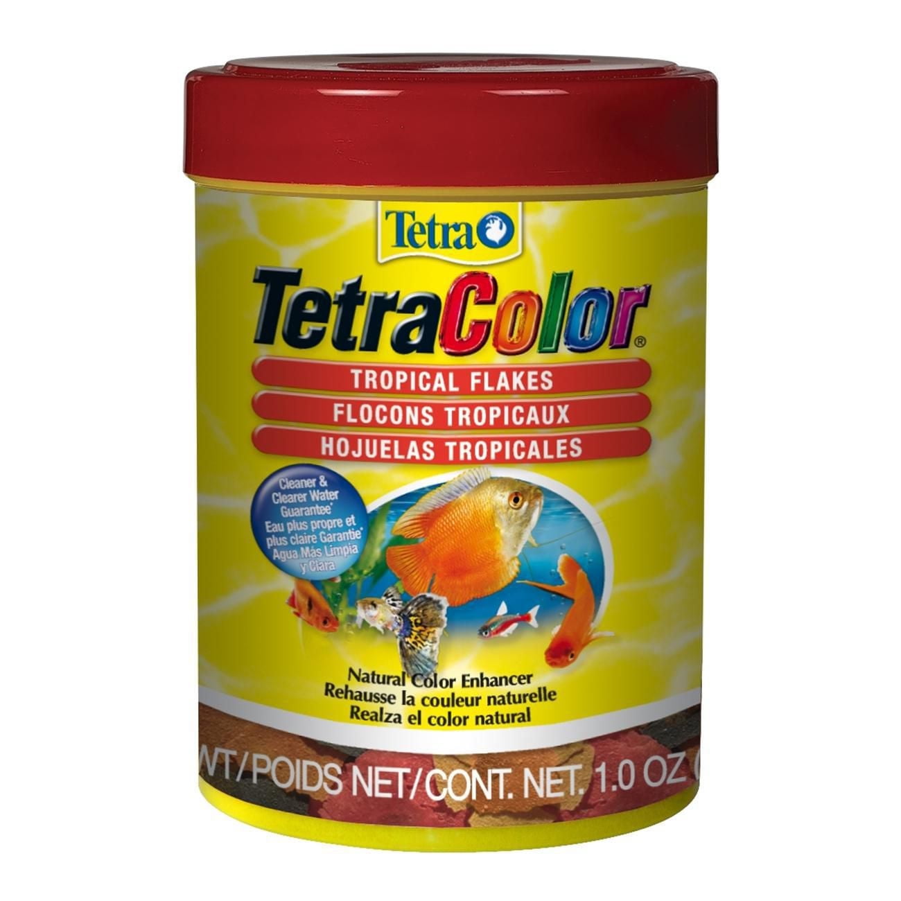 Fish Food for Colorful Fish: Boost Vibrant Colors Instantly