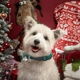 thumbnail image 5 of Stylish Breakaway Cat Collar with Woven Nylon Neckband for Secure Everyday Pet Wear, 5 of 5