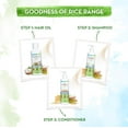 thumbnail image 5 of Mamaearth Hair Demage Repair Kit: Rice Water Shampoo 250 ml + Rice Water Conditioner 250 ml + Rice Water Hair Oil 150 ml, 5 of 5