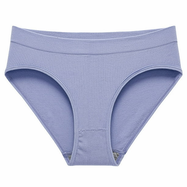 TOWED22 Women's Seamless Underwear No Show Stretch Bikini Panties Silky  Invisible Hipster(Blue,M) 