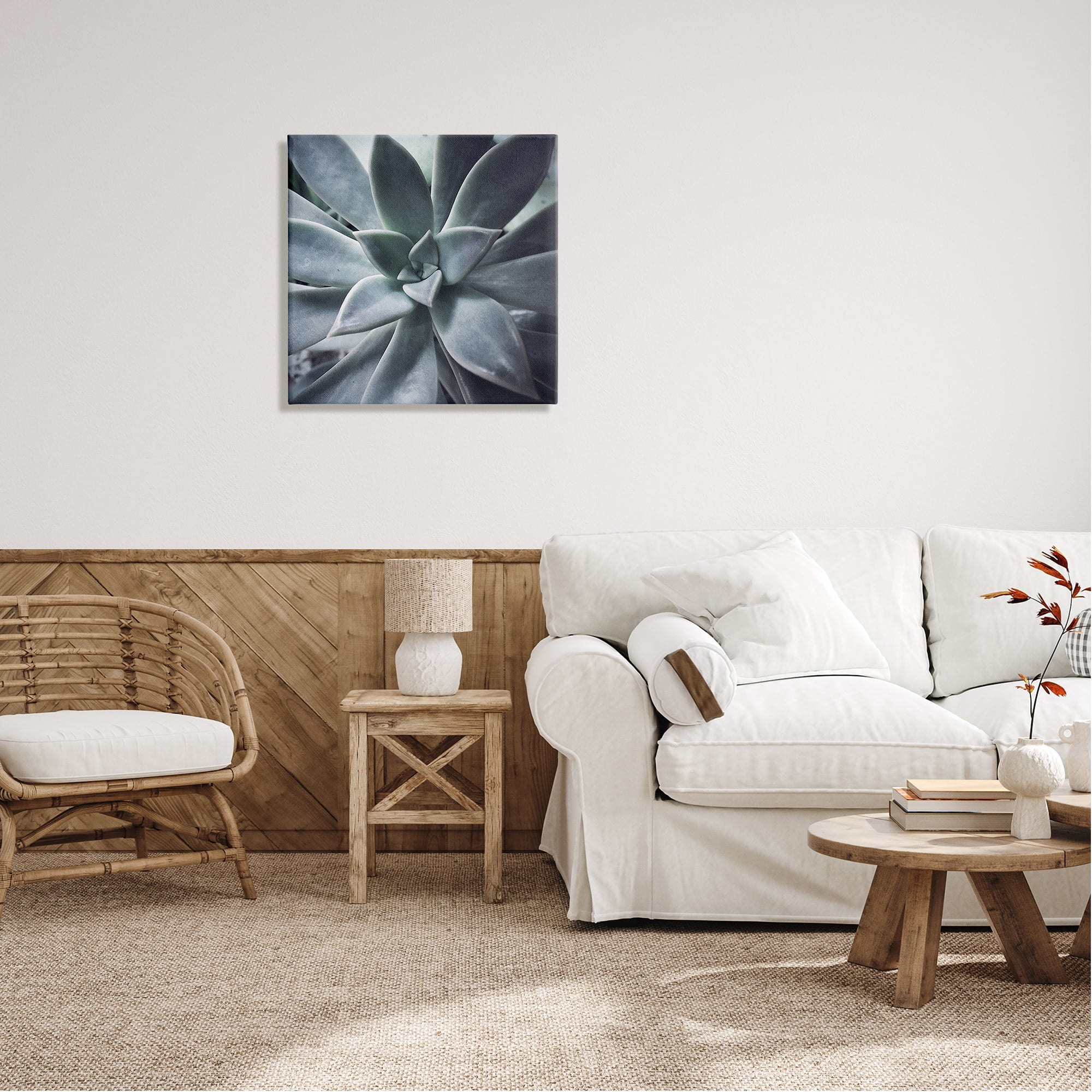 Stupell Industries Modern Succulent Close Up Plant Life Botanical Photograph Gallery Wrapped Canvas Print Wall Art, Design by unknown