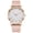 BI20_Brown with Blue Face, variant on Watches for Women Quartz Watches Casual Simple Petite Wrist Watches with Date Calendar Multicolor