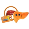 thumbnail image 2 of GIANTmicrobes Liver Plush – Juguete anatómico para órganos, Buen regalo para postoperatori GIANT MICROBES GIANT MICROBES, 2 of 2