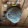 thumbnail image 4 of Raid Max Wasp and Hornet Insect Killer Spray, Kills Bugs on Contact, 500g, 4 of 9