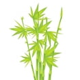 thumbnail image 2 of Green Bamboo Wall Decal by Wallmonkeys Peel and Stick Graphic (24 in H x 23 in W) WM157175, 2 of 4