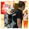 thumbnail image 1 of Mochila de viaje ajustable para perros y mascotas, bolsa de transporte para senderismo y ciclismo, para exteriores, Bulldog Francés, Pug, bolsas de transporte, 1 of 5