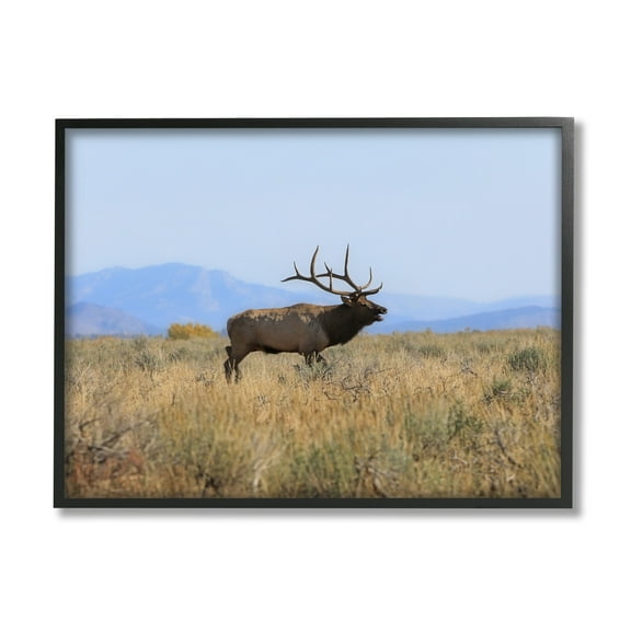 Stupell Industries Elk Grazing Pasture Grassland Blue Distant Mountains Framed Wall Art, 14 x 11, Design by Daniel Sproul