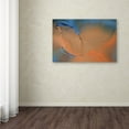 thumbnail image 4 of Trademark Fine Art 'Blue and Orange Flow' Canvas Art by Cora Niele, 4 of 4
