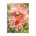 thumbnail image 2 of Gango Home Decor Garden Dahlias V by George Johnson (Printed on Paper); One 18x24in Fine Art Paper Giclee Print, 2 of 4