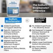 Organic Sodium Bicarbonate Alkaline Supplement For Alkalinity, 2 LB