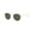 Gold Frame | G-15 Green - Lens, variant on RB3447 ROUND METAL LEGEND GOLD Round Shape Sunglasses Gold Frame | G-15 Green - Lens 53mm