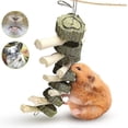 thumbnail image 3 of 2 Pcs Rabbit Chew Toys, Pet Snacks, 3 of 5