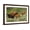Brown Frame, variant on Art.com Bison and Calves Running Art Print by Lantern Press, White Frame Wall Art, 23" x 17"