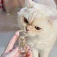 thumbnail image 5 of 2PCS Cat Hair Storage Bottle, Bottle for Pet Hairs Keychain, Cats Whisker Jar, Pet Memorial Urns, Pets Hair Keepsake, 5 of 7