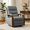Dark Gray, variant on FlexiSpot Dual Motor Recliner Chair, Adjustable Recliner with Lumbar Support and Padded Seat Backrest for Living Room, Dark Gray