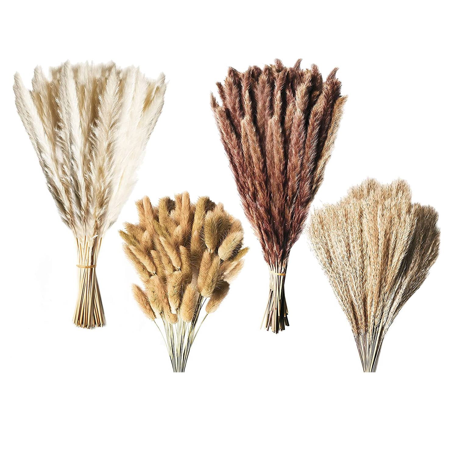 Dried Pampas Grass Decor 120 Natural Pampas Grass Decor 17 Inch