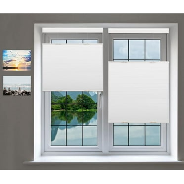 Custom Cordless Cellular Shades,Top Down Bottom Up Cellular Honeycomb Blinds,Light Filtering, Blackout White, 23" Wx60 H, Fishion Shades & Blinds..