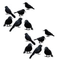 thumbnail image 5 of Halloween Black Crows,12 Pack Real Touch Black-Feathered Crows Halloween Decorations Indoor Raven Prop Outdoor Crows Halloween Decor Realistic Looking Raven Statue Fake,Crow Decoy, 5 of 8
