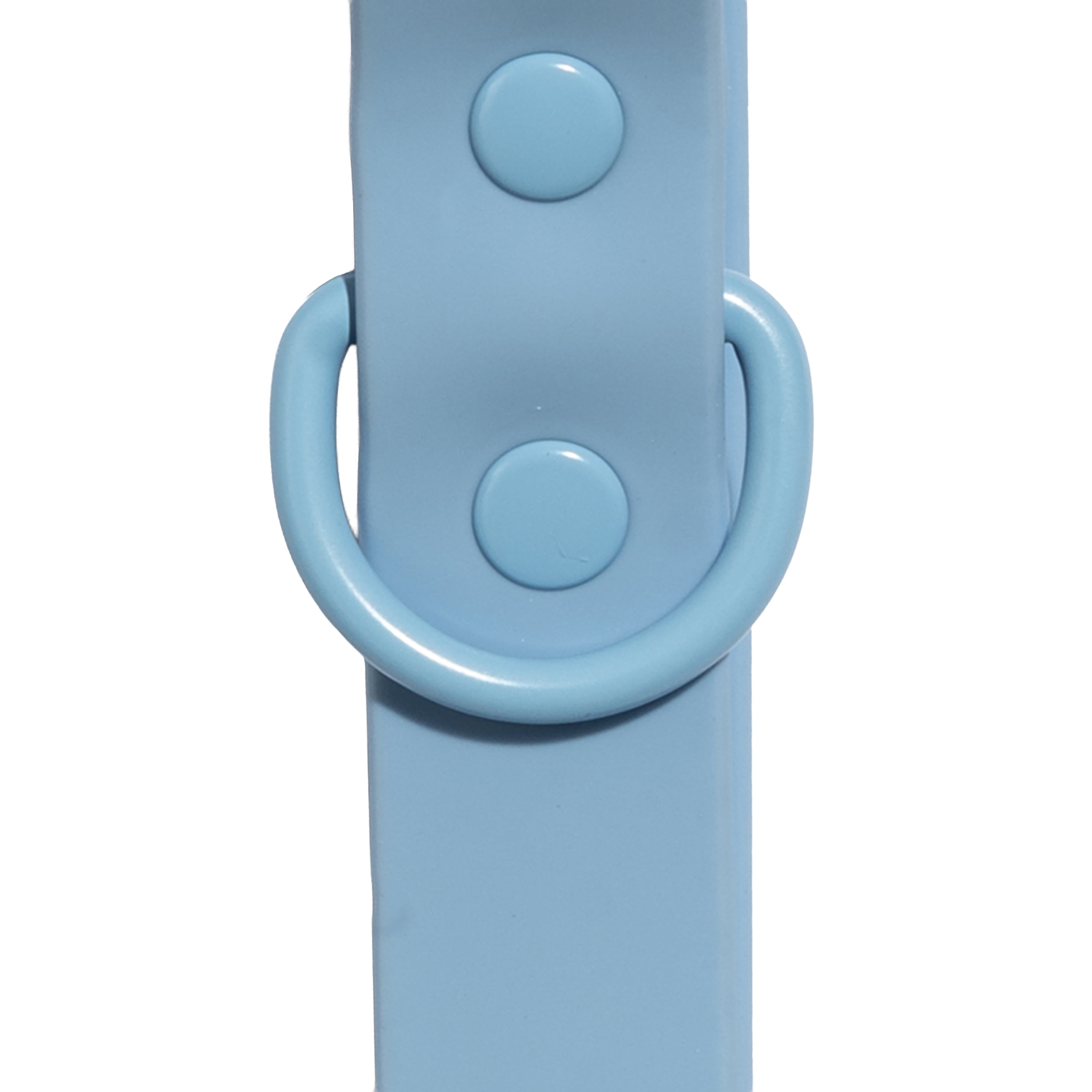 Vibrant Life Water Resistant Adjustable Dog Collar, Blue, XL