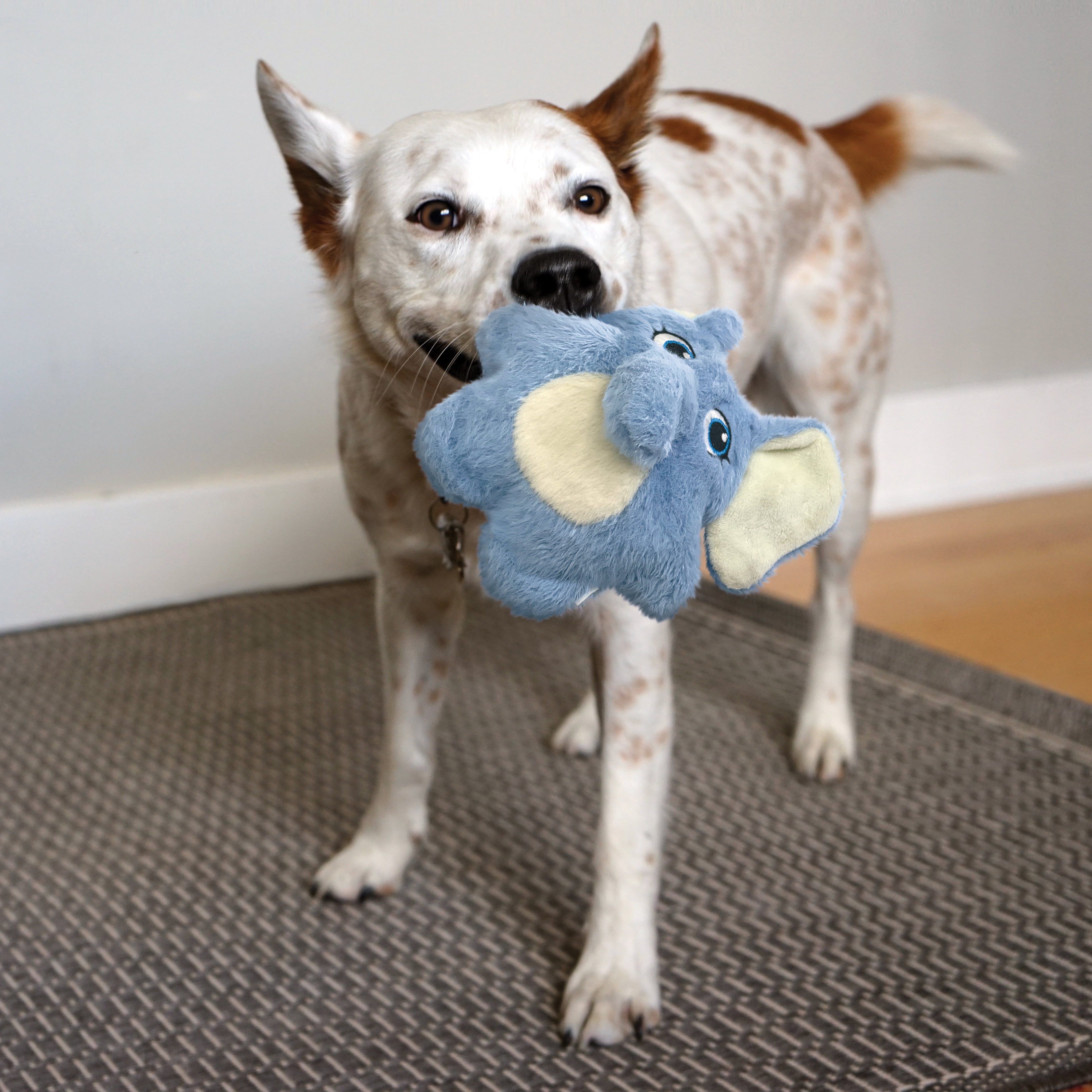 KONG® Snuzzles Kiddo Plush Squeaker Dog Toy, Teddy Bear, Small