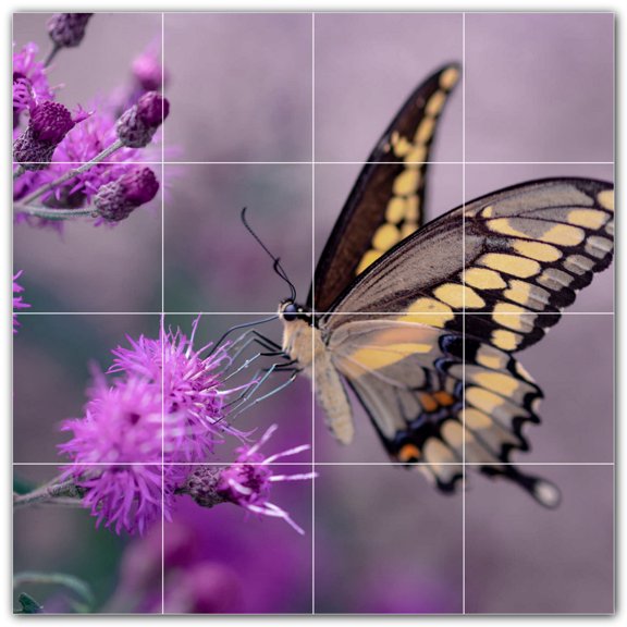 Picture-Tiles.com: Butterfly Ceramic Tile Wall Mural WAL500278-44XL. 48"W x 48"H using (16) 12" x 12" Ceramic Tiles-Satin Finish