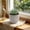 Gray A, variant on WIZUTIZ Artificial Potted Plants Fake s in Gray Pots Realistic Plastic Greenery for Home Office Table Shelf Desk Decor Low Maintenance Faux Flowers C