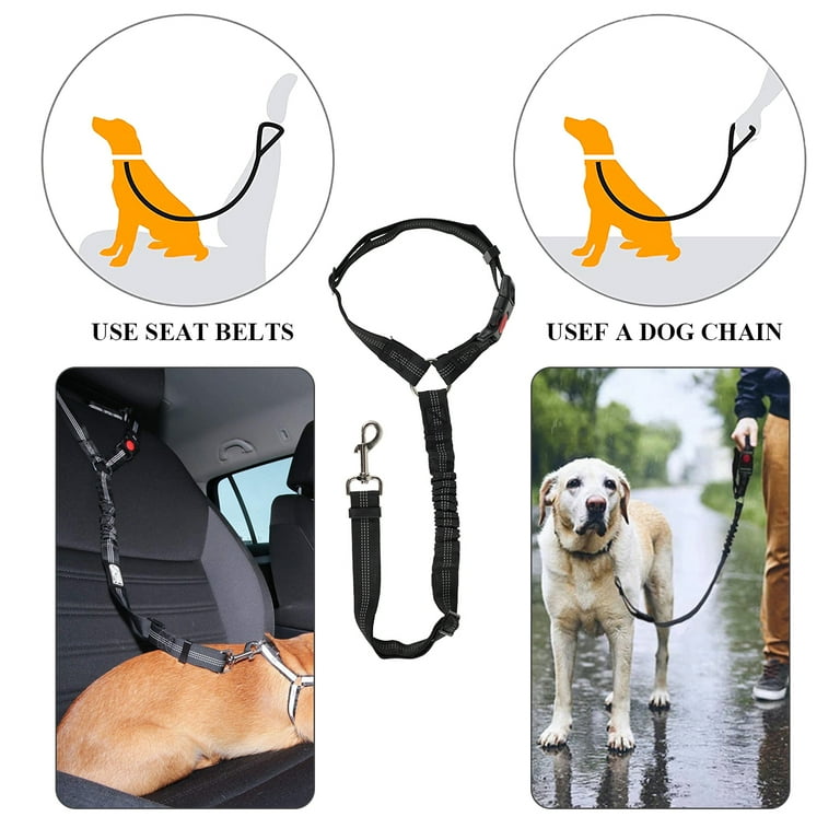 Anti shock best sale dog seat belt