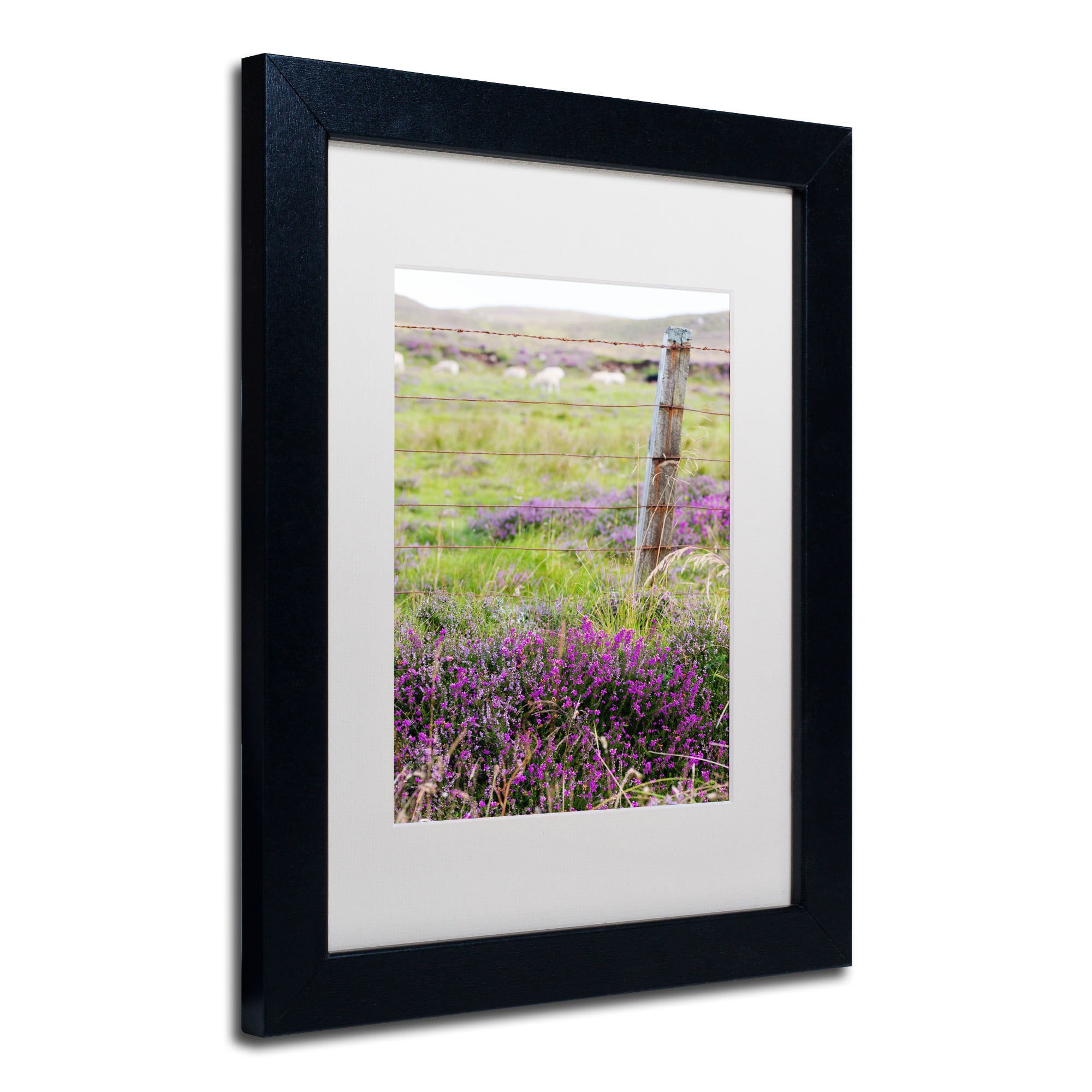 Trademark Fine Art "Symbol" Canvas Art by Philippe Sainte-Laudy, White Matte, Black Frame