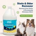 thumbnail image 3 of Urine B-Gone, Professional Enzyme Odor Eliminator & Pet Stain Remover, Human, Cat & Dog Urine Cleaner, Effective on Laundry, Carpets & More, Original Scent, 1 Gallon, 3 of 4