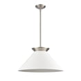 thumbnail image 2 of Elk Home 20-Inch Wide Cavendish Pendant, Transitional, Brushed Nickel, 2 of 5