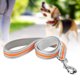 thumbnail image 4 of Correa Reflectante Para Perros, Gancho Giratorio De 360°, Agarre Firme, Cuerda De Tracción Para Mascotas, Mango Acolchado Para Caminar Para Entrenar Cergrey Naranja M, 4 of 8