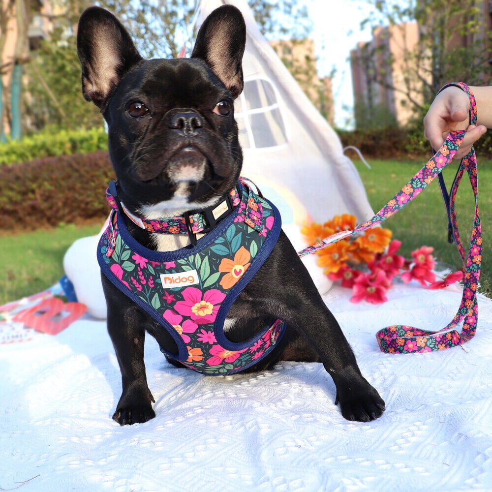 Didog 3pcs/set Cute Pet Dog Collar & Leash & Harness Soft Mesh Walking Vest Adjustable