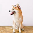 thumbnail image 7 of Crazy Night Mini Sombrero Top Hat Headband Tiny Straw Hat Small Sombreros for Dog Cat,Mexican Fiesta Birthday Party Supplies Table Decoration, 7 of 7
