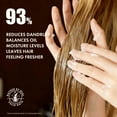 thumbnail image 6 of Alfheim Rosemary+ Purifying Conditioner 18oz | Vegan Formula, Lightweight Hydration & Oil Balance, Restores Shine & Smoothness for Oily or Fine Hair, 6 of 8