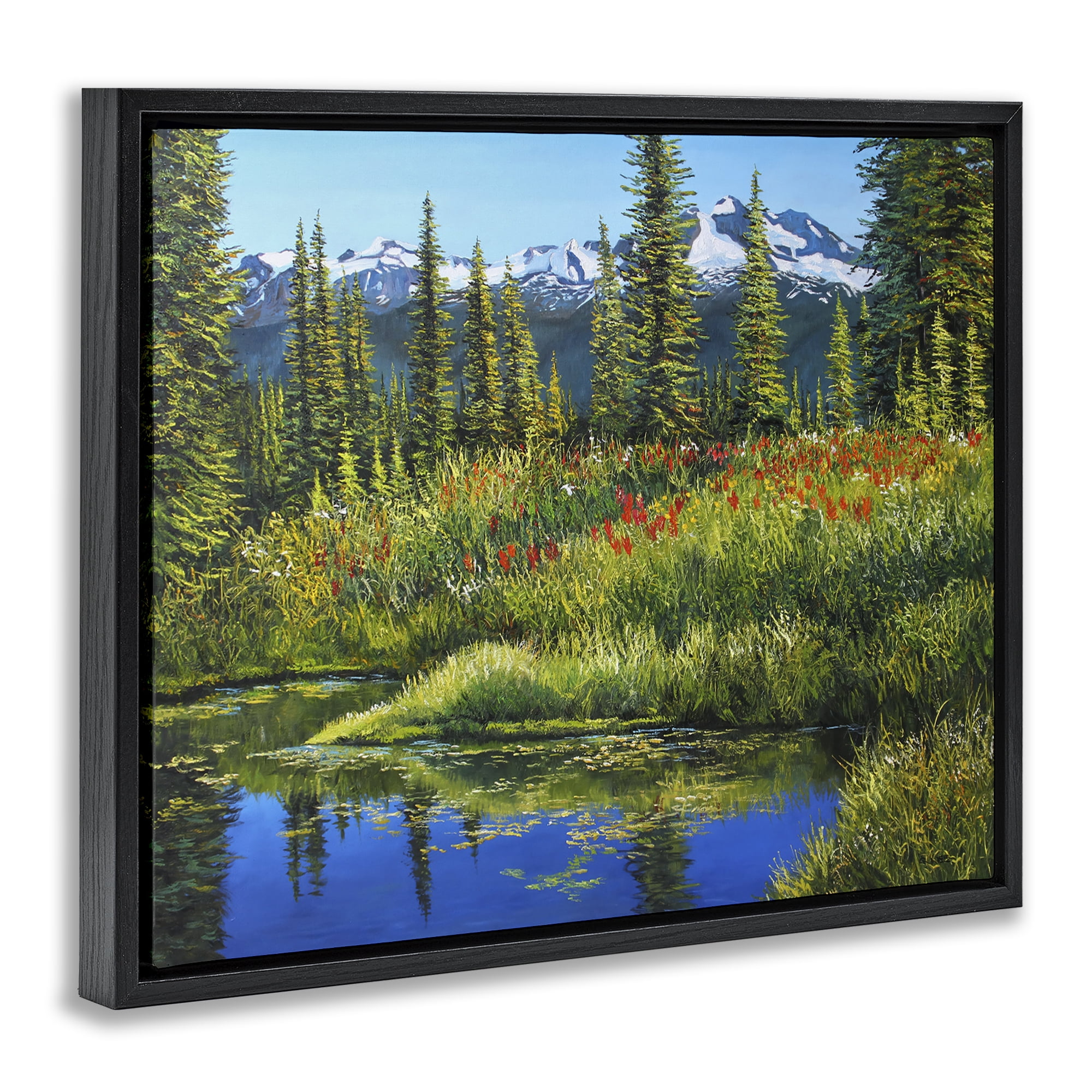 Stupell Industries High Country Summer Landscape & Nature Painting Black Floater Framed Canvas Art Print Wall Art, 21 x 17