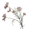 thumbnail image 2 of Product Name, 2 of 8