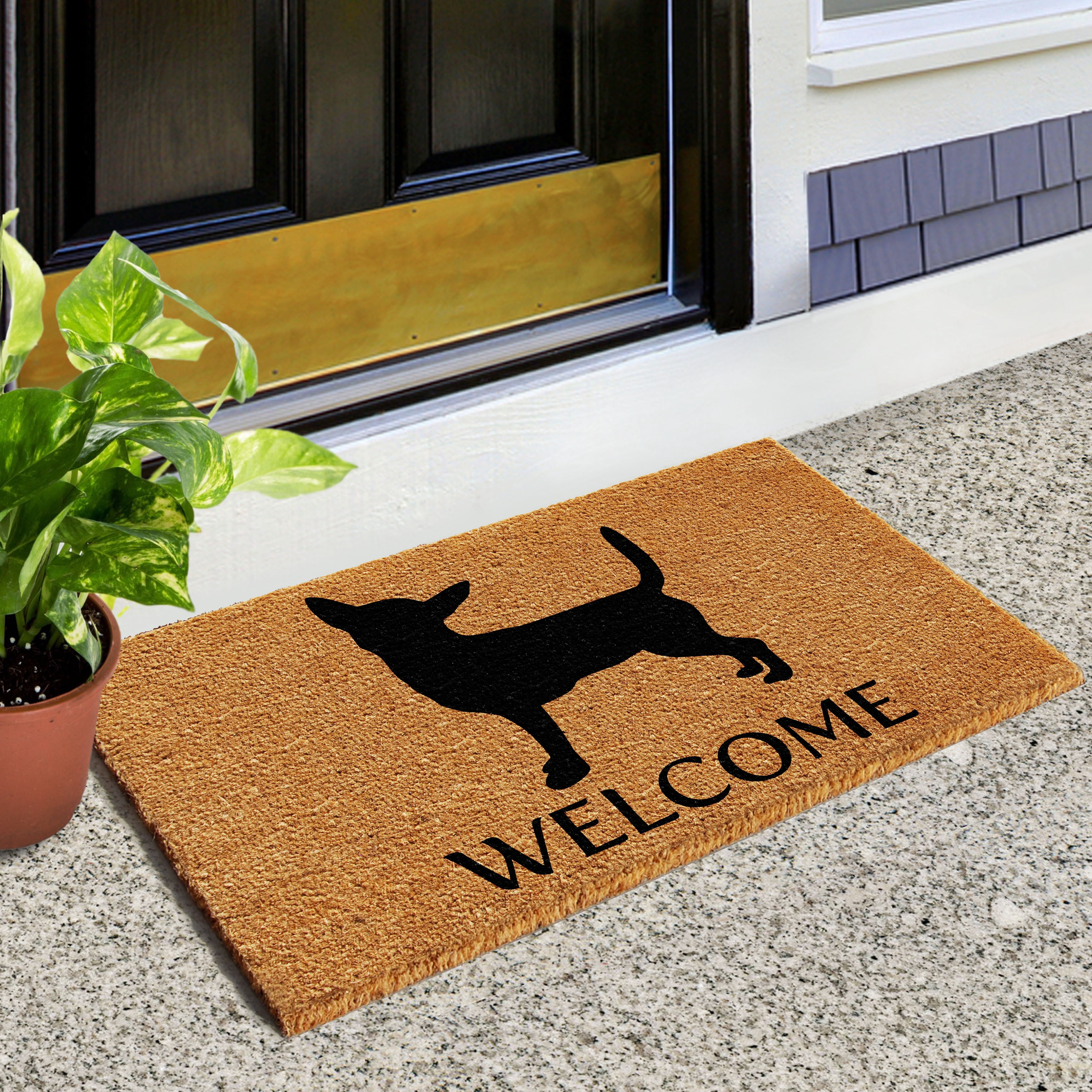 Calloway Mills Chihuahua Outdoor Doormat 2' x 3'