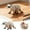 Grey, variant on Sculptures & Statues Realistic Figurine Educational Animal Decorative Statue For Home Garden