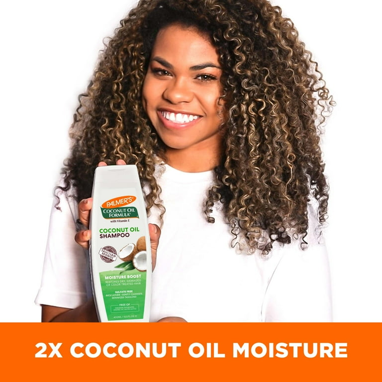 aloe vera plant healing Aloe Vera Plant  Classic Succulent