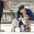 thumbnail image 4 of SXcggal 1 PCS Dog Harness For Small Medium Large Dogs No Pull Puppy Harness And Leash Set Dog Harness For Walking Running Training Small Dog Harness Medium Dog Harness Cute Practical Pet Accessories, 4 of 9
