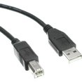 thumbnail image 4 of Axiom USB 2.0 Type-A to Type-B Cable M/M 6ft, 4 of 7