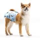 thumbnail image 4 of Paquete de 3 pañales lavables reutilizables para perros, pantalones fisiológicos para perros altamente absorbentes, pañales sanitarios para prevención de acoso de mascotas, pantalones fisiológicos MFZFUKR 222973-1, 4 of 8