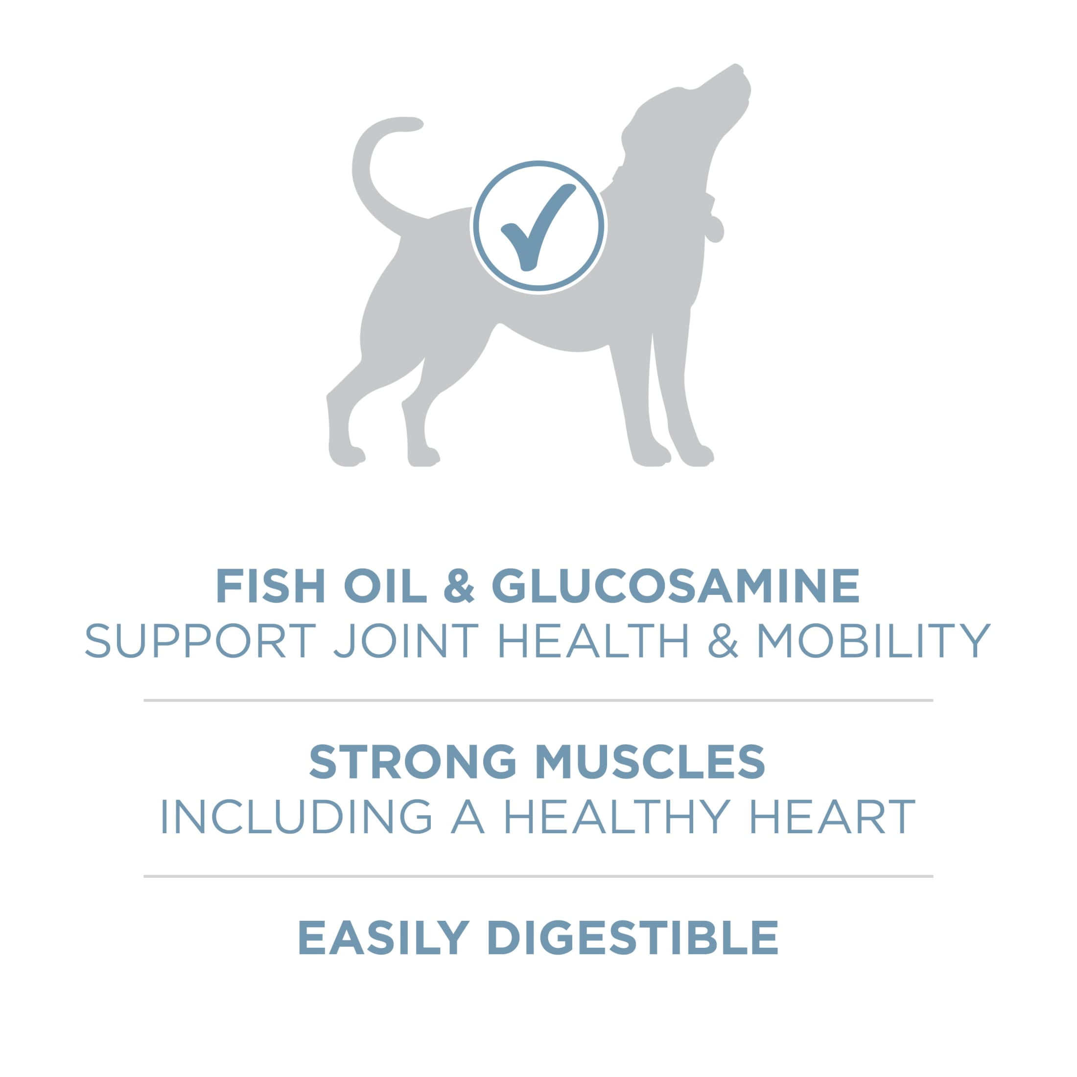 Purina One Plus Joint Health Chicken & Rice Flavor Dry Dog Food, 16.5 lb Bag