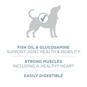 Purina One Plus Joint Health Chicken & Rice Flavor Dry Dog Food, 16.5 lb Bag