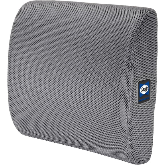 Sealy Memory Foam Ergonomic Backrests, Gray