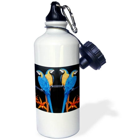 

3dRose BLUE GOLD MACAWS Sports Water Bottle 21oz