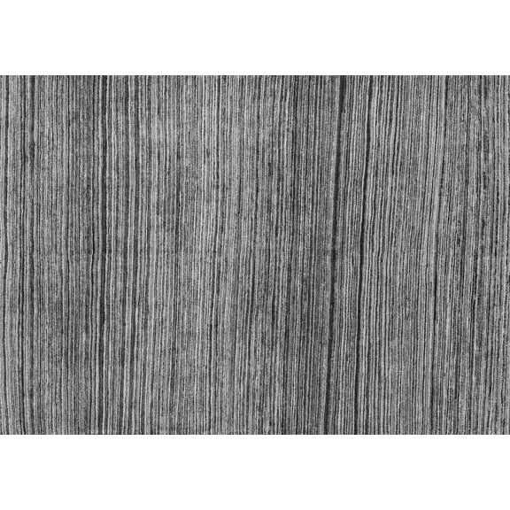 Ahgly Company Indoor Rectangle Oriental Gray Modern Area Rugs, 2' x 5'