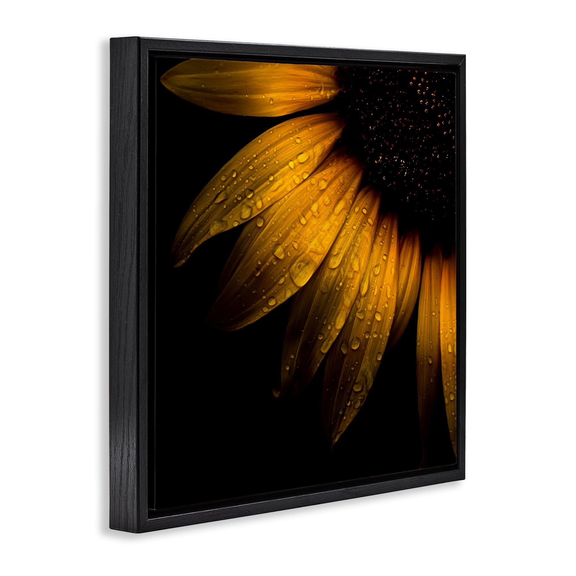 Sunflower Detail with Droplets Black Framed Floater Canvas Wall Art, design by Brian Carson Photography